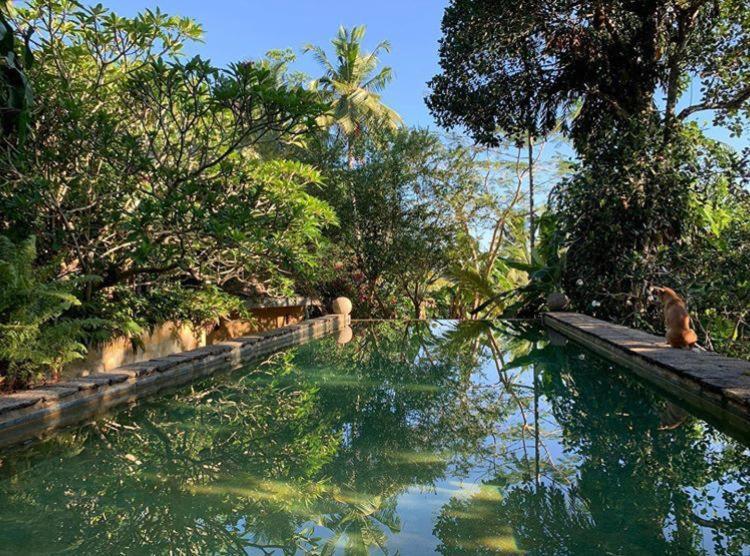 Sri Yoga Shala Acomodação com café da manhã Unawatuna Exterior foto